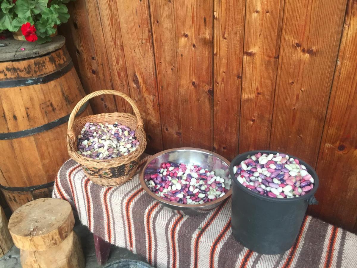 Pensiunea Agroturistica Casa Colinita Vatra Moldoviței Kültér fotó