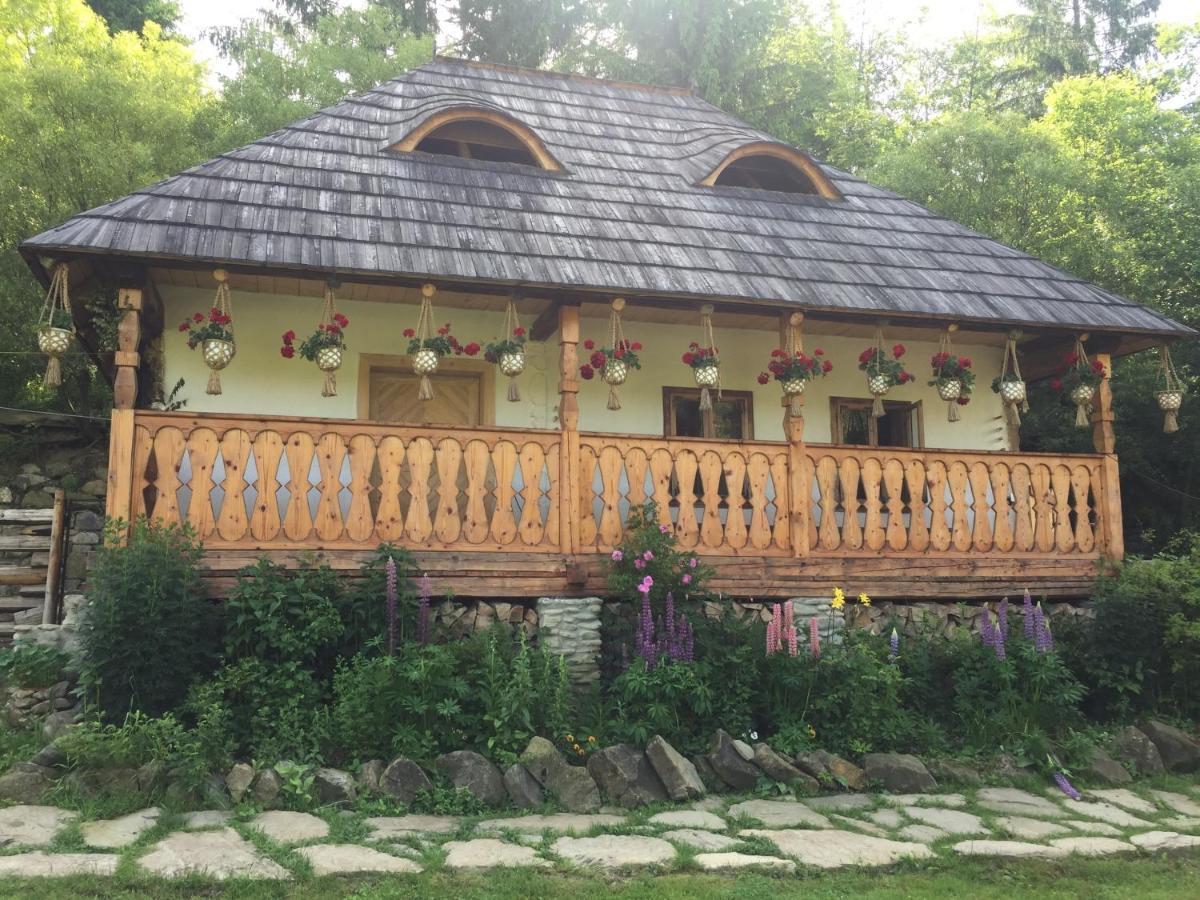Pensiunea Agroturistica Casa Colinita Vatra Moldoviței Kültér fotó