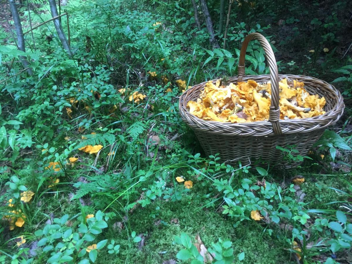 Pensiunea Agroturistica Casa Colinita Vatra Moldoviței Kültér fotó