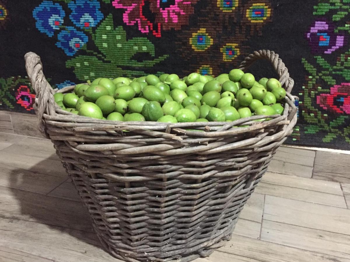 Pensiunea Agroturistica Casa Colinita Vatra Moldoviței Kültér fotó