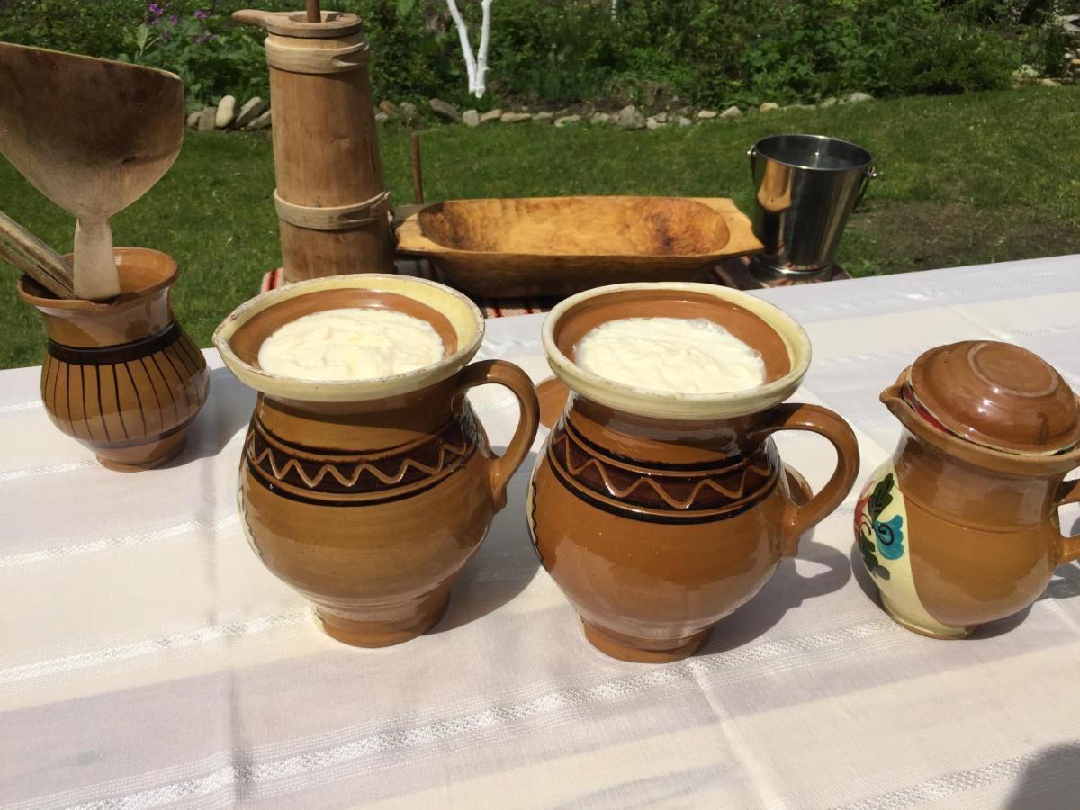 Pensiunea Agroturistica Casa Colinita Vatra Moldoviței Kültér fotó