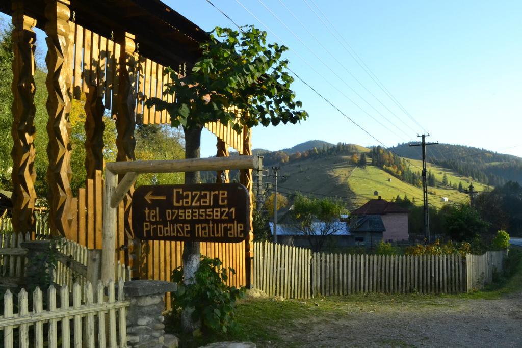 Pensiunea Agroturistica Casa Colinita Vatra Moldoviței Kültér fotó