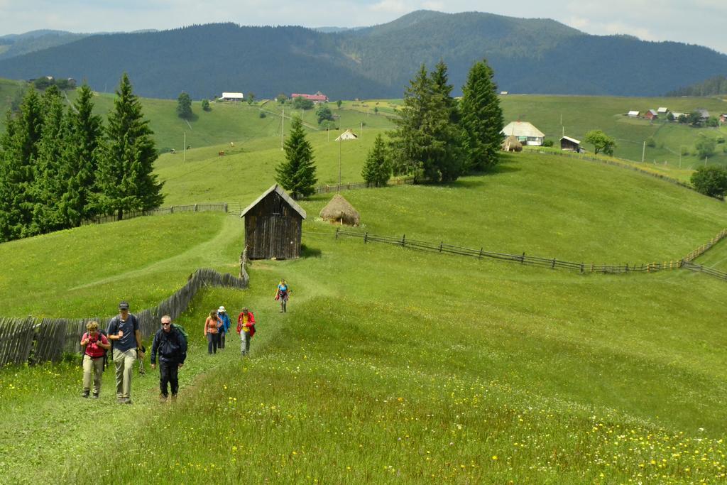 Pensiunea Agroturistica Casa Colinita Vatra Moldoviței Kültér fotó