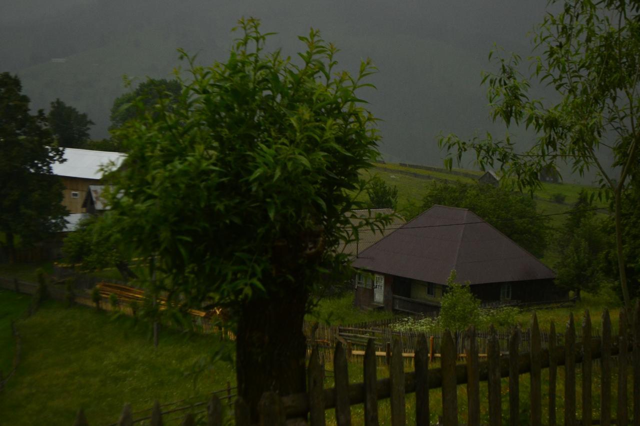 Pensiunea Agroturistica Casa Colinita Vatra Moldoviței Kültér fotó