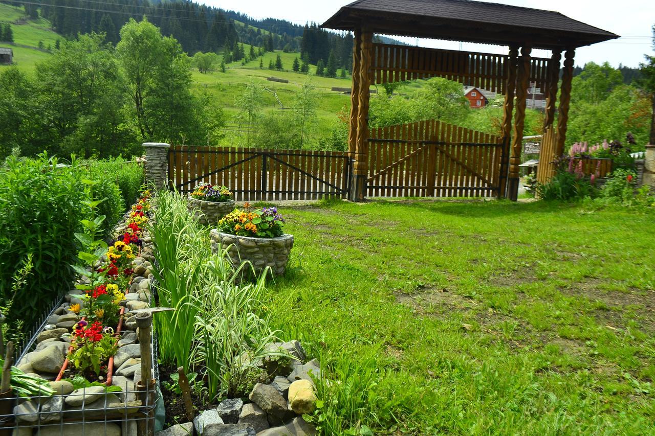 Pensiunea Agroturistica Casa Colinita Vatra Moldoviței Kültér fotó